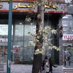 بانک ملی شعبه تجریش