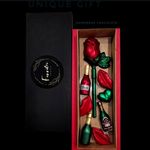 شکلات دستساز فریتا