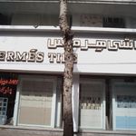 کاشی هرمیس