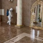 شرکت سمپاشی منزل ماداکتو سرویس در تهران