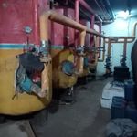 وحید ولیپور