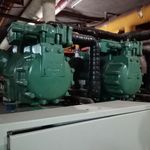 وحید ولیپور