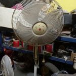 منوچهر درویش متولی