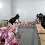 کشتارگاه طیور مانا مرغ اصفهان