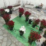 امامزاده سید فخر الدین