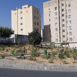 بوستان امید