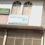 بیمه دانا