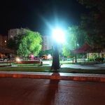 بوستان لاله