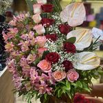 گل سرای تارا