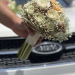 گل سرای تارا