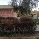 توالت عمومی