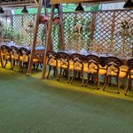 تشریفات مجالس و روفگاردن مهر دنیا