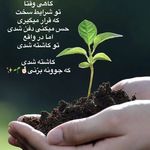 دکتر روانشناس زهره زهدی