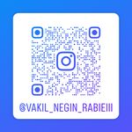 وکیل پایه یک دادگستری نگین ربیعی