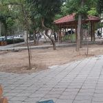 بوستان همیاری