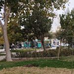 پارک مسجد مصلی