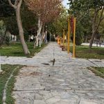 پارک مسجد مصلی