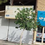 رویال گستر