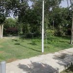 پارک مسجد مصلی