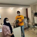 کلینیک دامپزشکی من و پت (پنج ستاره)