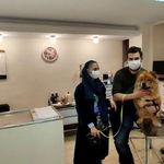 کلینیک دامپزشکی من و پت (پنج ستاره)