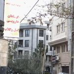 گیاهان دارویی گل وگلاب