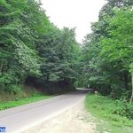 جاده سیاهکل دیلمان