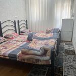 خوابگاه پرنده آبی