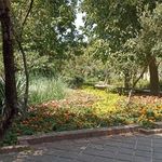 پارک گل ها