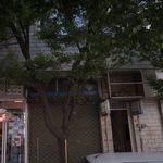 دکتر مرتضیذبیحی طاری