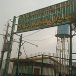 بازار گل امام رضا