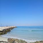 دامون ساحلی اسکله