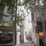 دکتر مرتضیذبیحی طاری