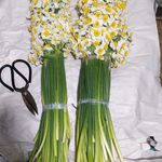 یونیک فلور (نیک فرجام) / unique florist