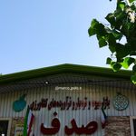 بازار میوه و تره بار صدف