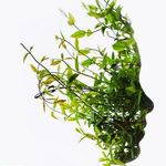 مرکز زیبایی و تناسب اندام دکتر دلبری