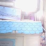 آموزشگاه آزاد دخترانه زبان های خلرجی  ترمیک لاوین  