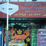 تشک زنیت