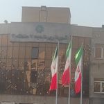 شهرداری