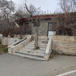 سرویس بهداشتی