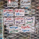 مارکت سحر