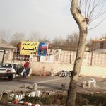 کارواش و صفرشویی امید