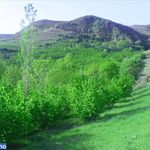روستای پیرکوه