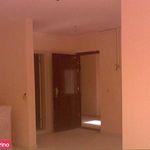 شرکت امیر ابنیه پاسارگاد