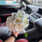 گلفروشی میثم