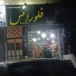 گل فلورانس