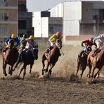 مجموعه اسبدوانی بندرترکمن