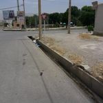 پارک شهرداری