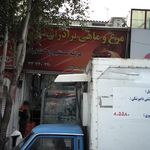 مرغ و ماهی برادران