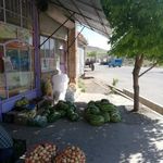 فروشگاه برادران  معصومی